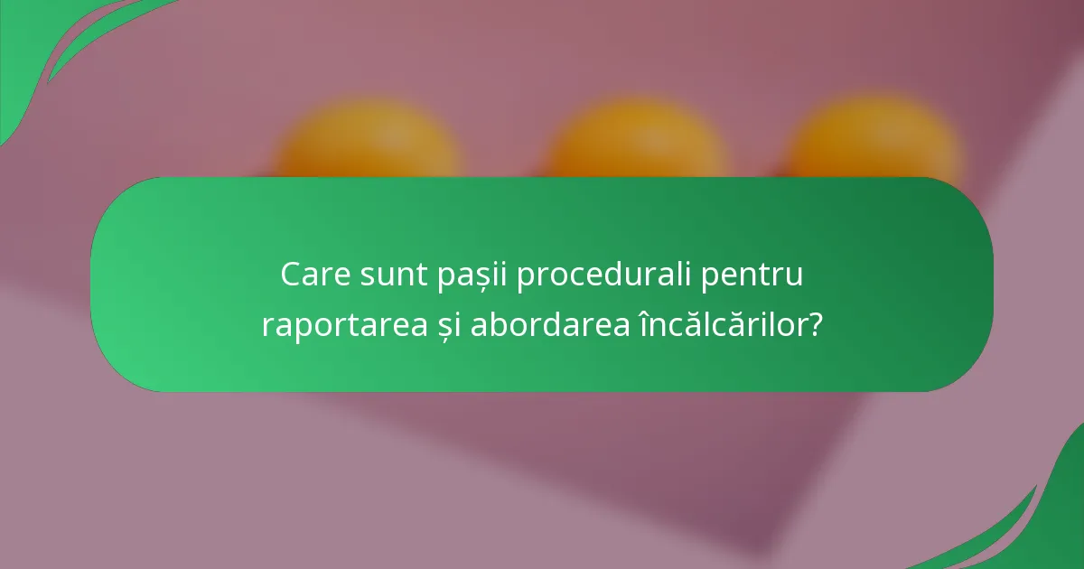 Care sunt pașii procedurali pentru raportarea și abordarea încălcărilor?